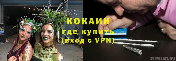 прущие крисы Абаза