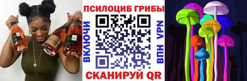 магазин продажи наркотиков Серафимович Псилоцибиновые грибы мухоморы